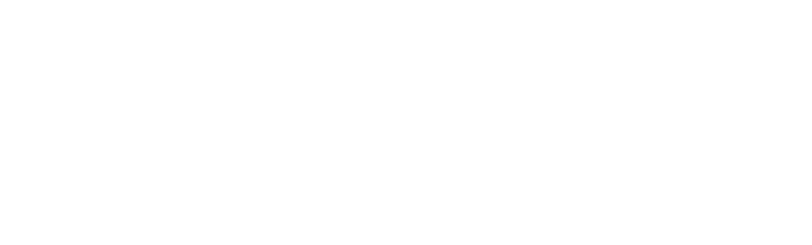 SpiceJet
